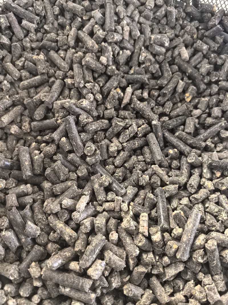 玉米颗粒