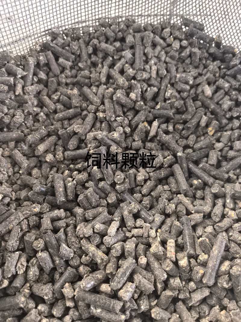 玉米颗粒