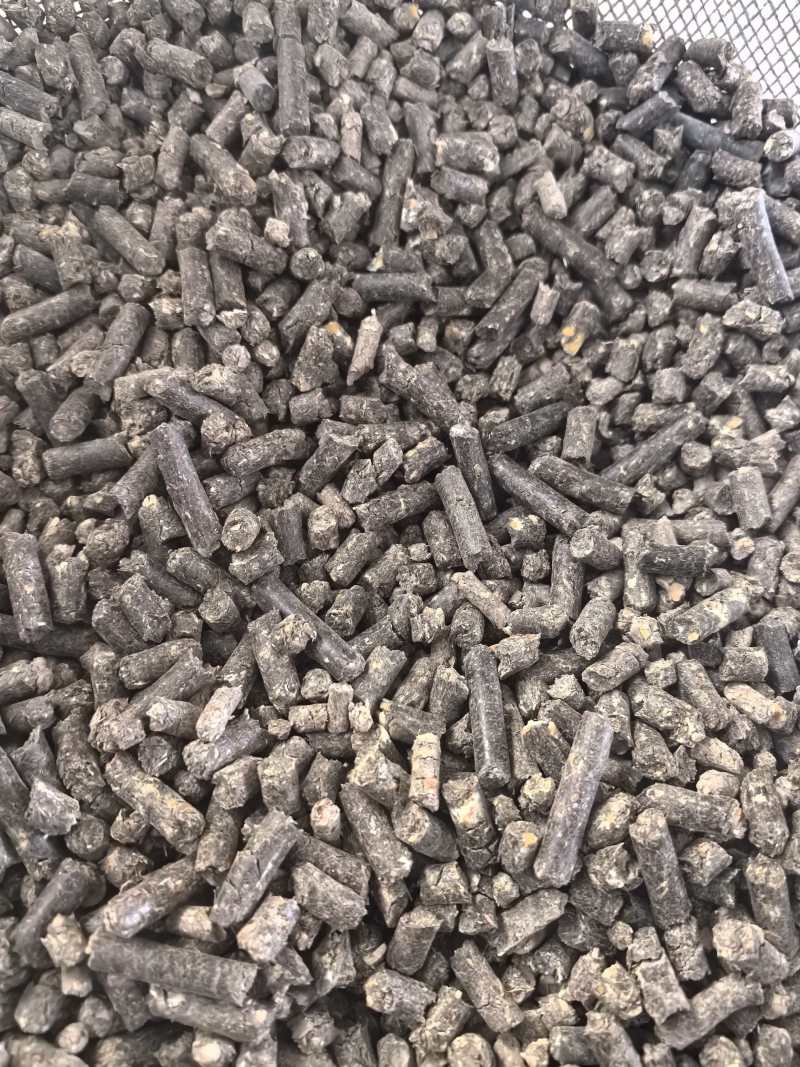 玉米颗粒