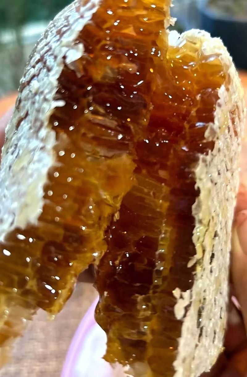 重庆土蜂蜜