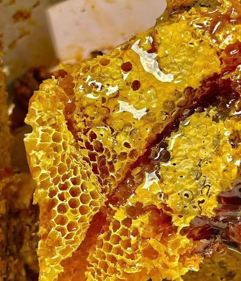 重庆土蜂蜜