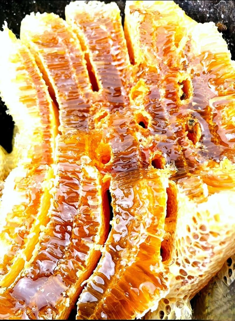 重庆土蜂蜜