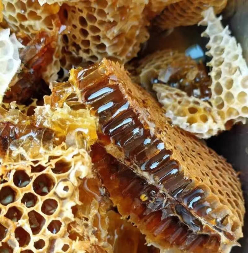 重庆土蜂蜜