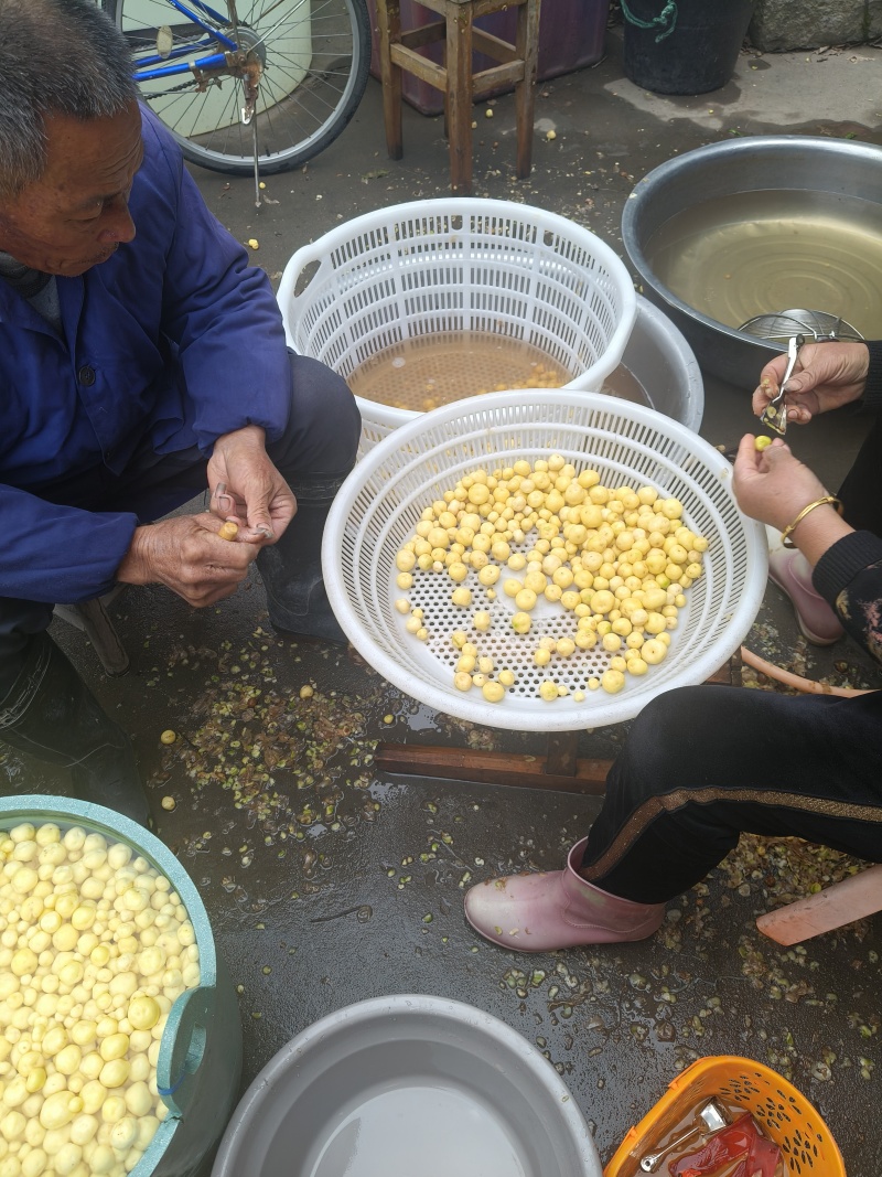 全国最小土豆品种——自家种植，温岭坞根产地直发