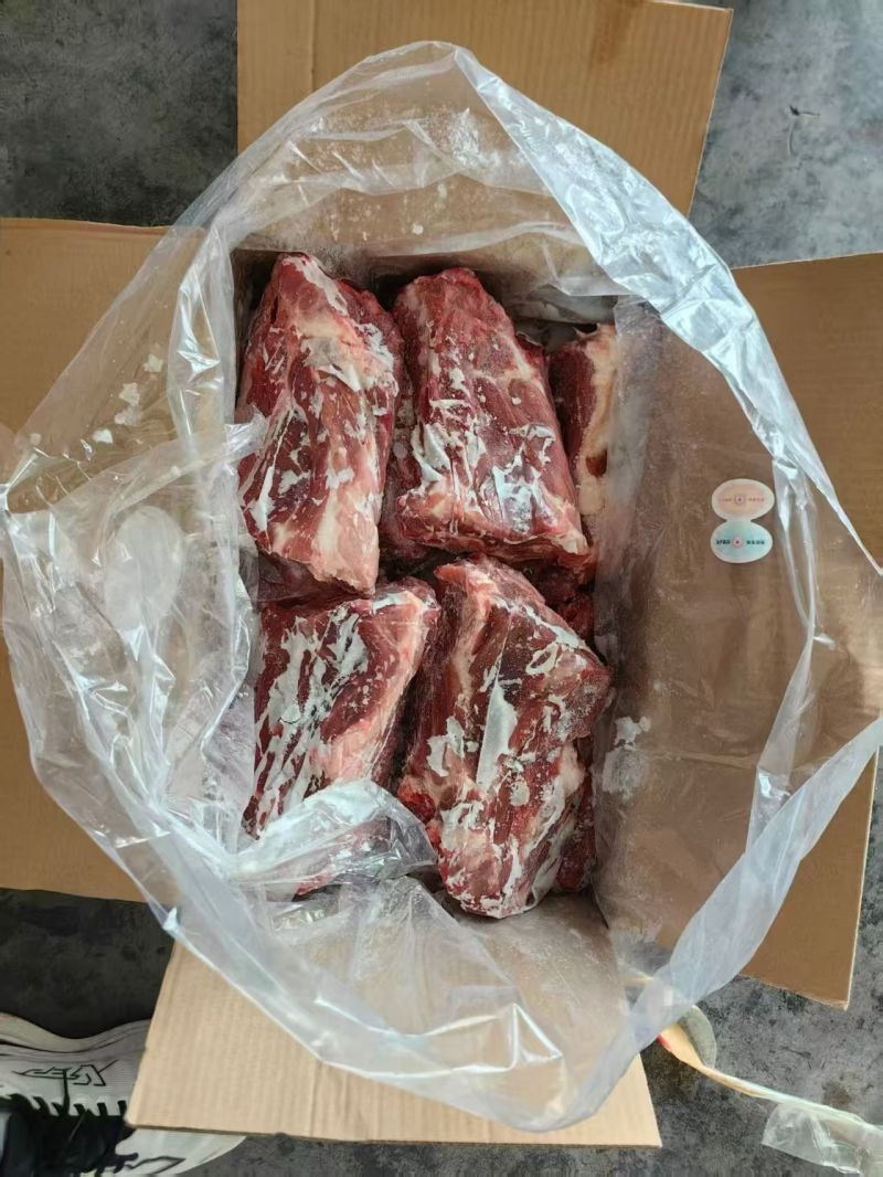 母猪胫骨