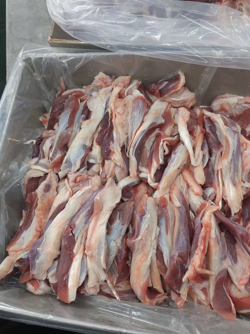 母猪一根筋
