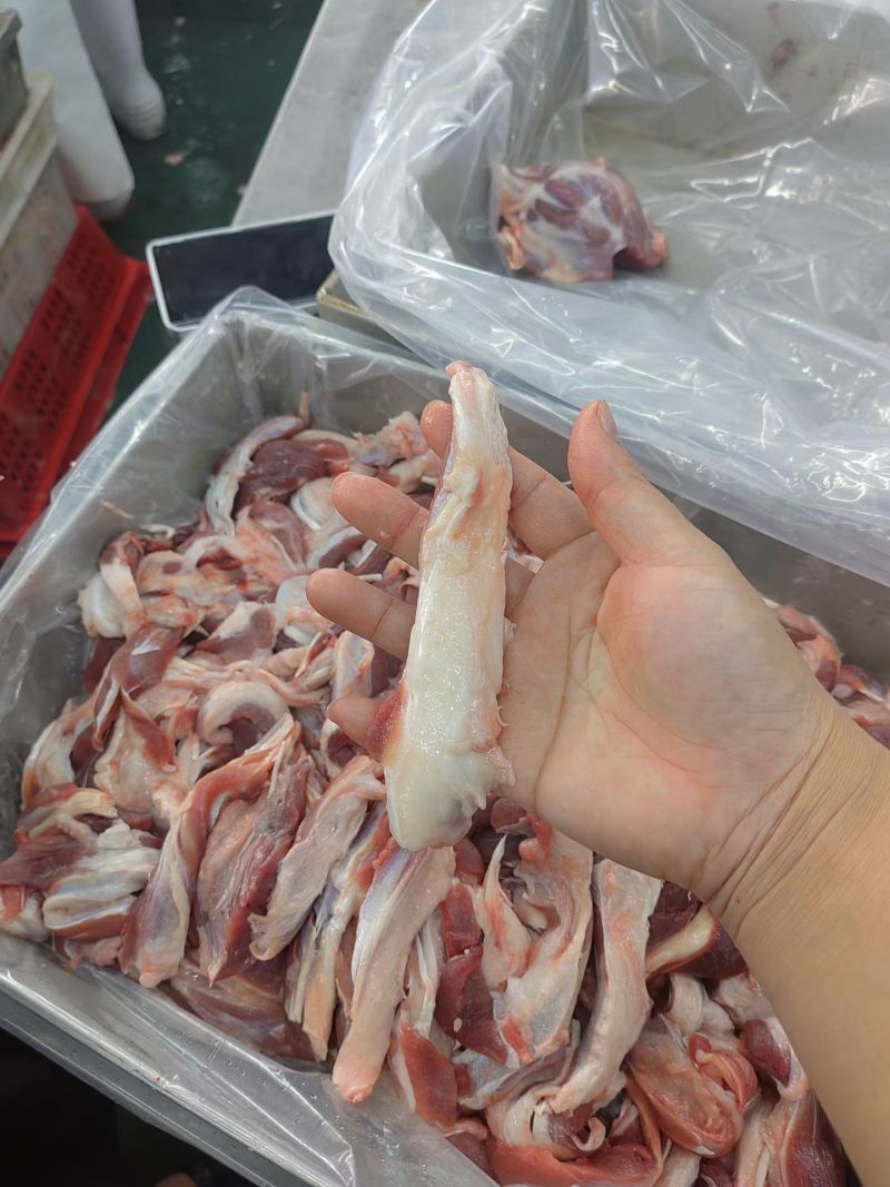 母猪一根筋