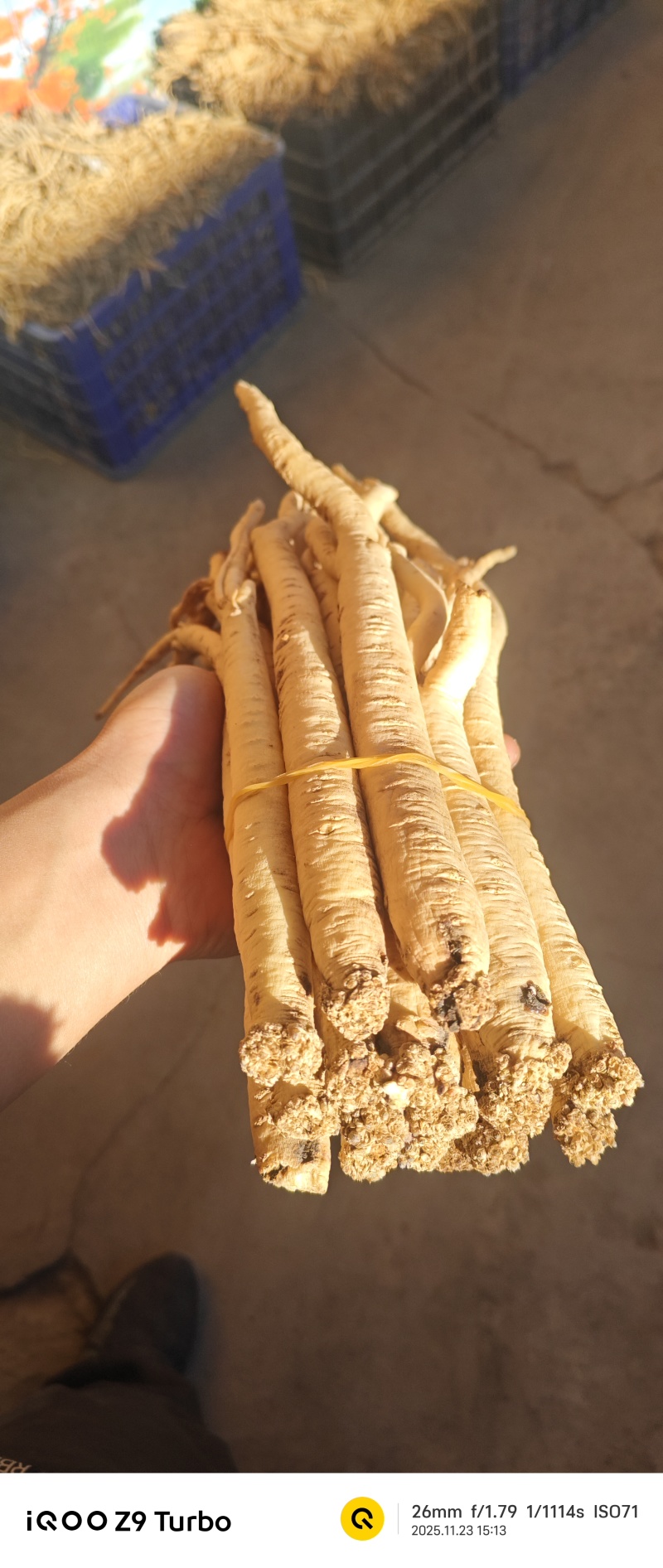 农产品，当归，党参，黄芪
