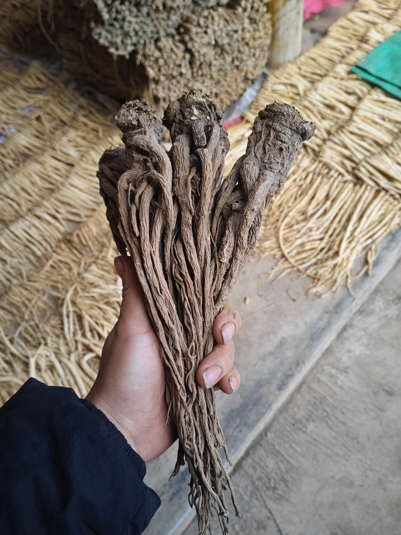 农产品，当归，党参，黄芪