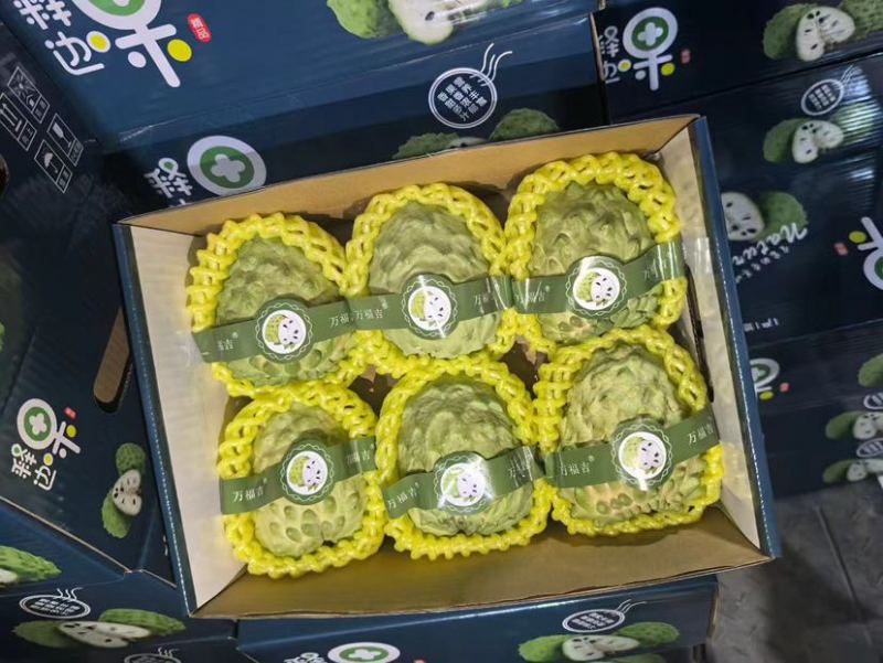 漳州凤梨释迦，果肉Q弹软糯细腻，支持一件代发，品质供应