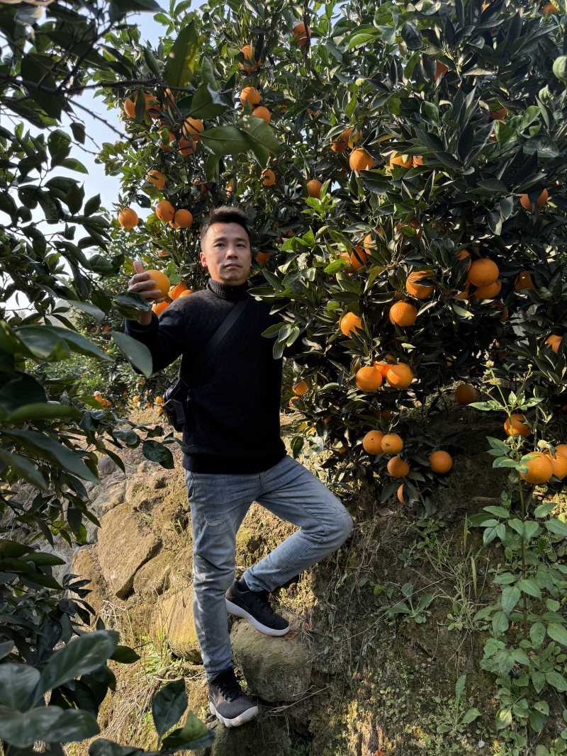 云阳红橙