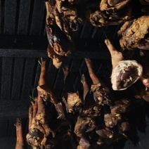 腊肉