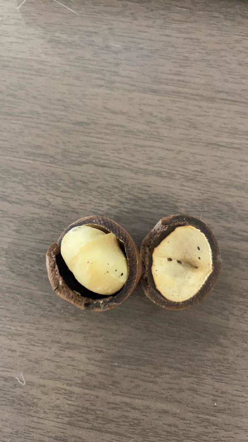 夏威夷果电商精品一件代发罐装，大货批发
