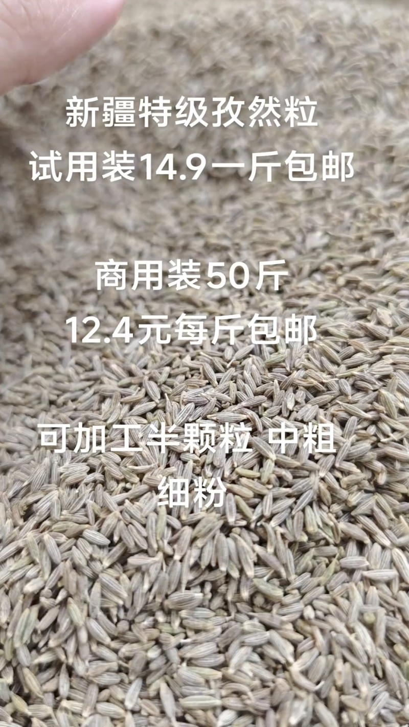 新疆孜然
