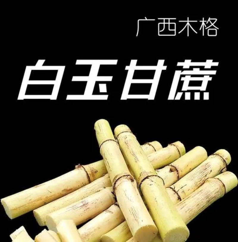 白玉甘蔗