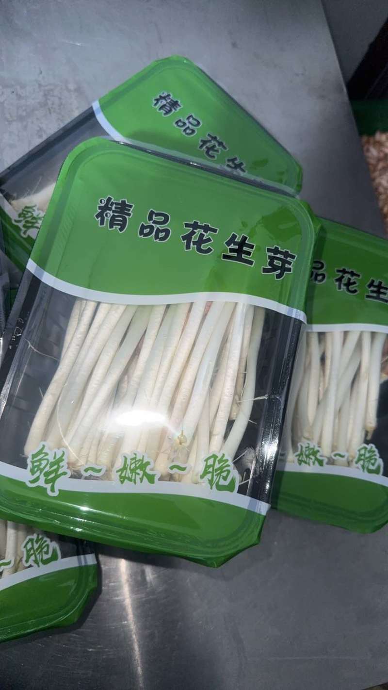 水培精品花生芽