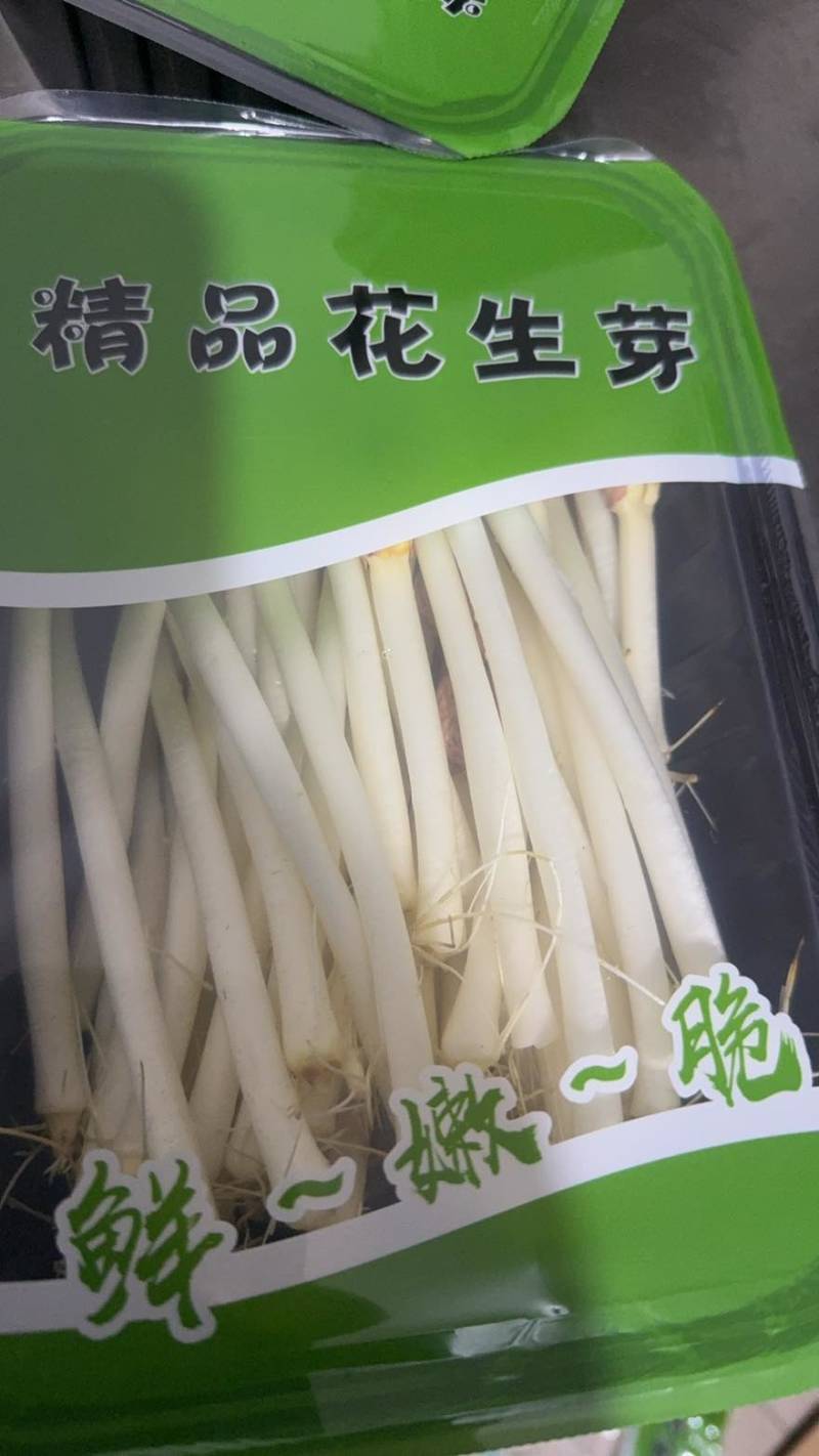 水培精品花生芽