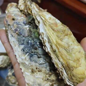 海鲜