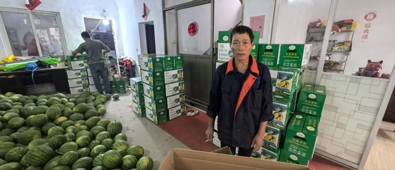 小兰西瓜