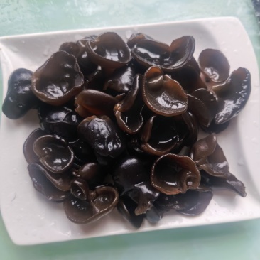 东北秋木耳
