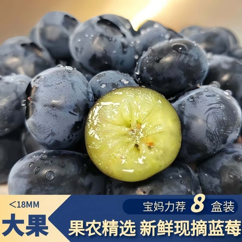 新鲜蓝莓一件代发