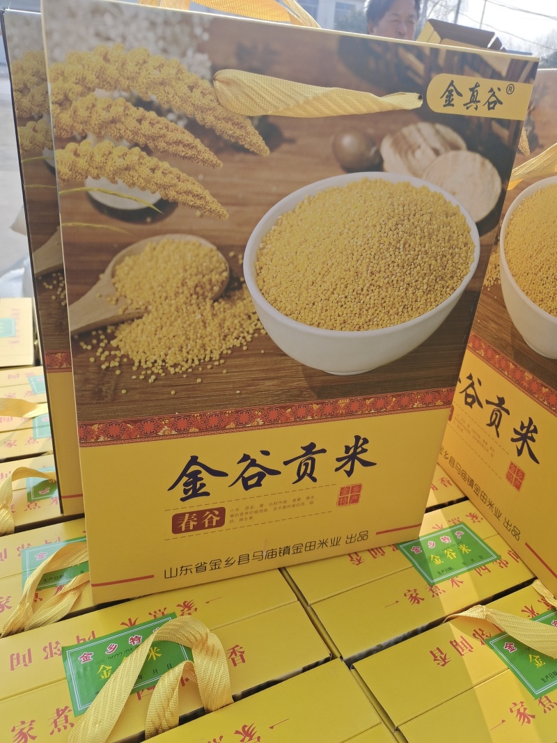 山东省金乡县马庙镇马坡金谷米