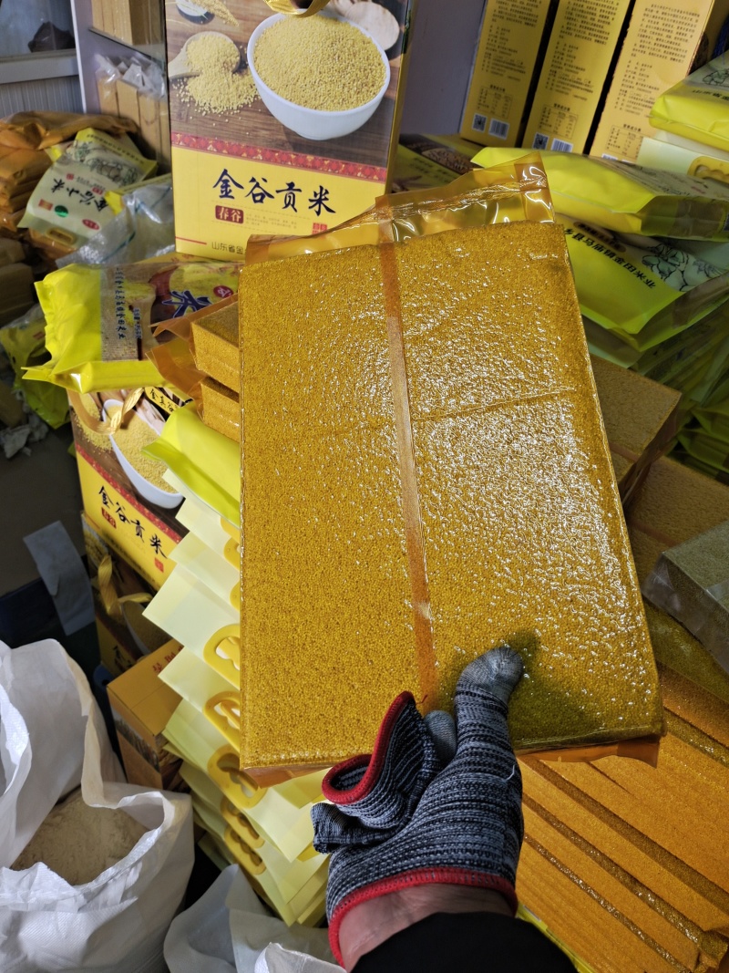 山东省金乡县马庙镇马坡金谷米