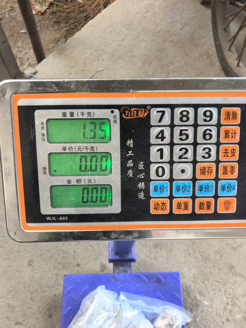 越南小青龙270克左右