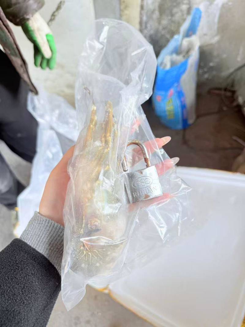 越南小青龙270克左右
