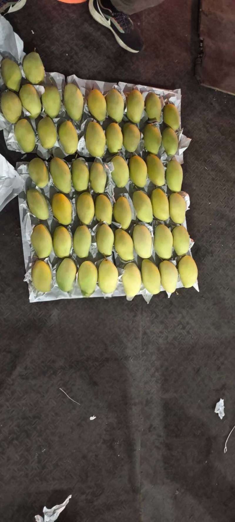 高乐蜜芒果全国供应批发
