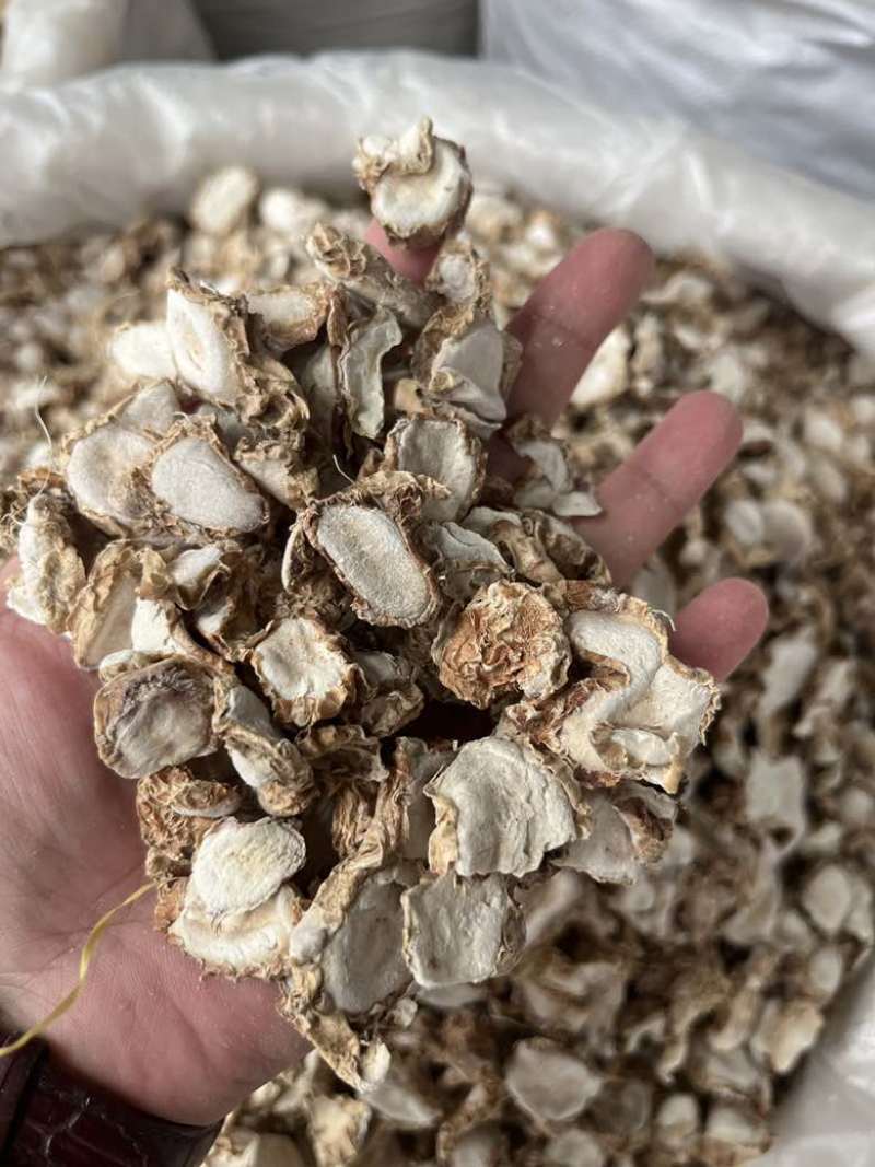 批发沙姜干货香料广东沙姜阳春沙姜100斤一件全国发货量大价优
