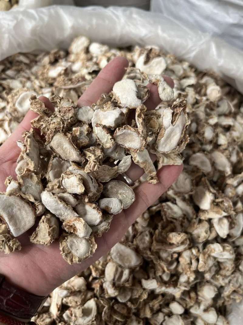 批发沙姜干货香料广东沙姜阳春沙姜100斤一件全国发货量大价优