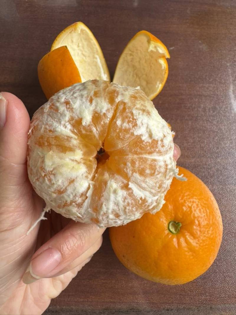 沃柑