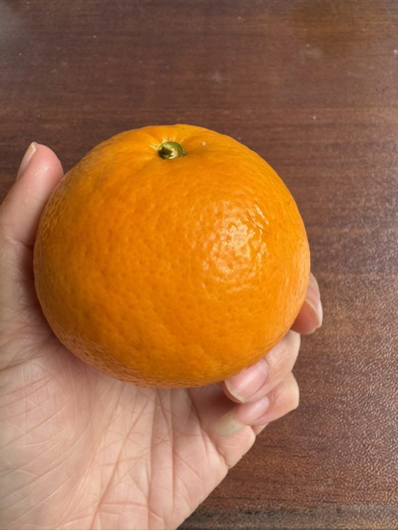 沃柑