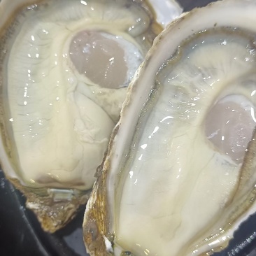 海产品生蚝🦪