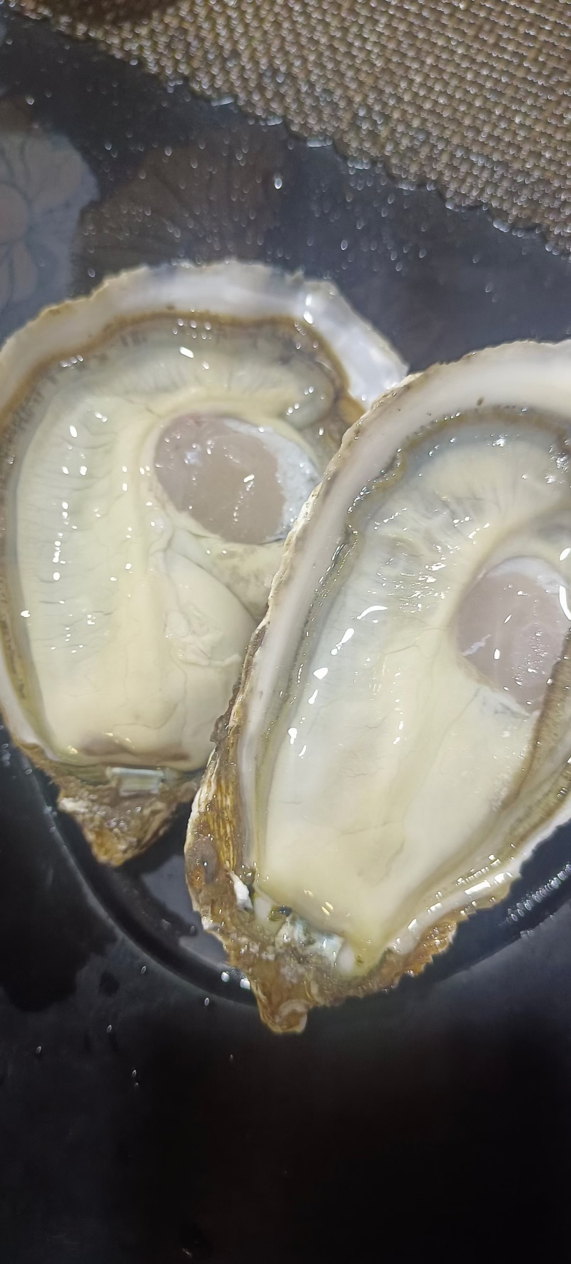 海产品生蚝🦪