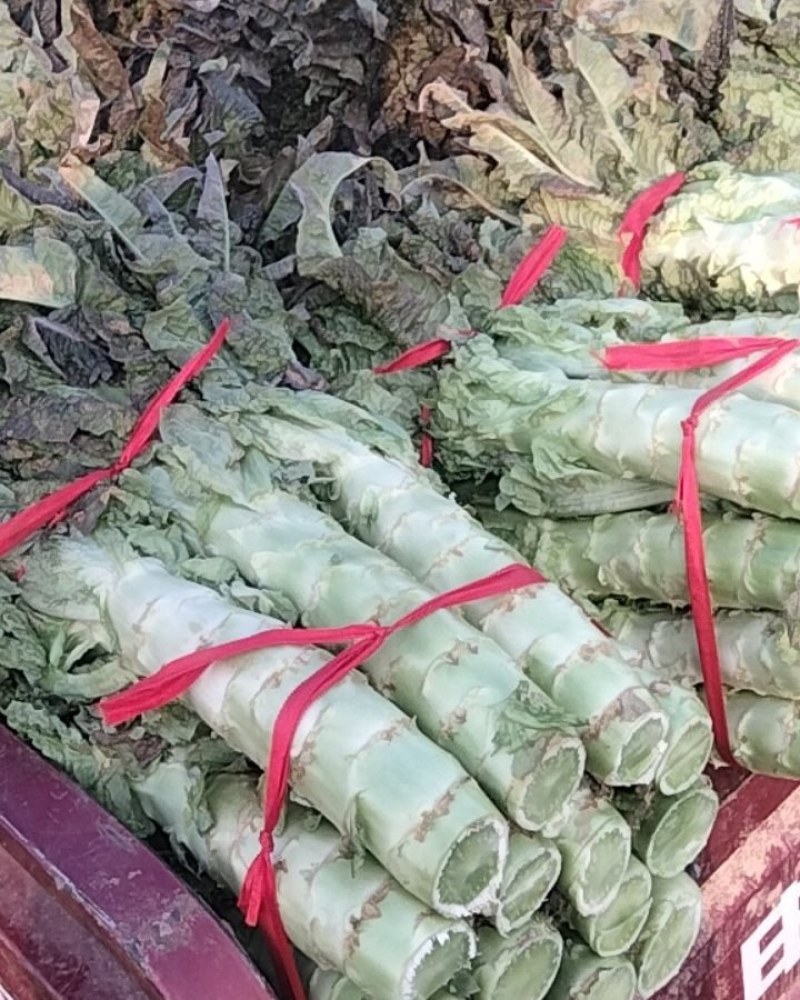 莴笋