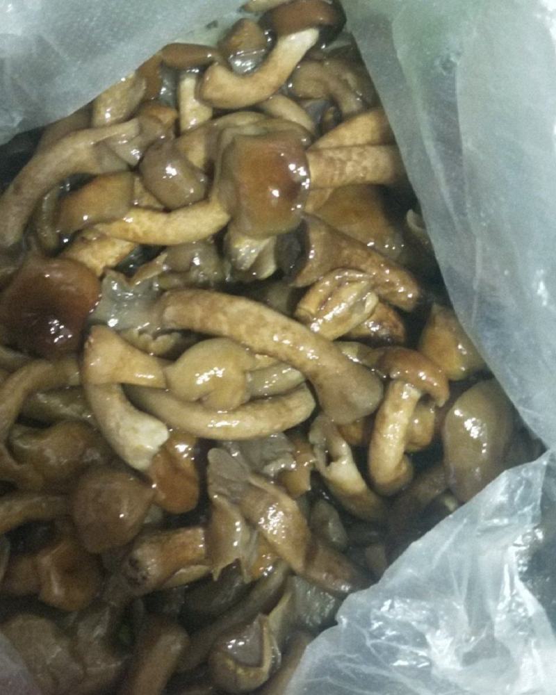 盐渍滑子菇
