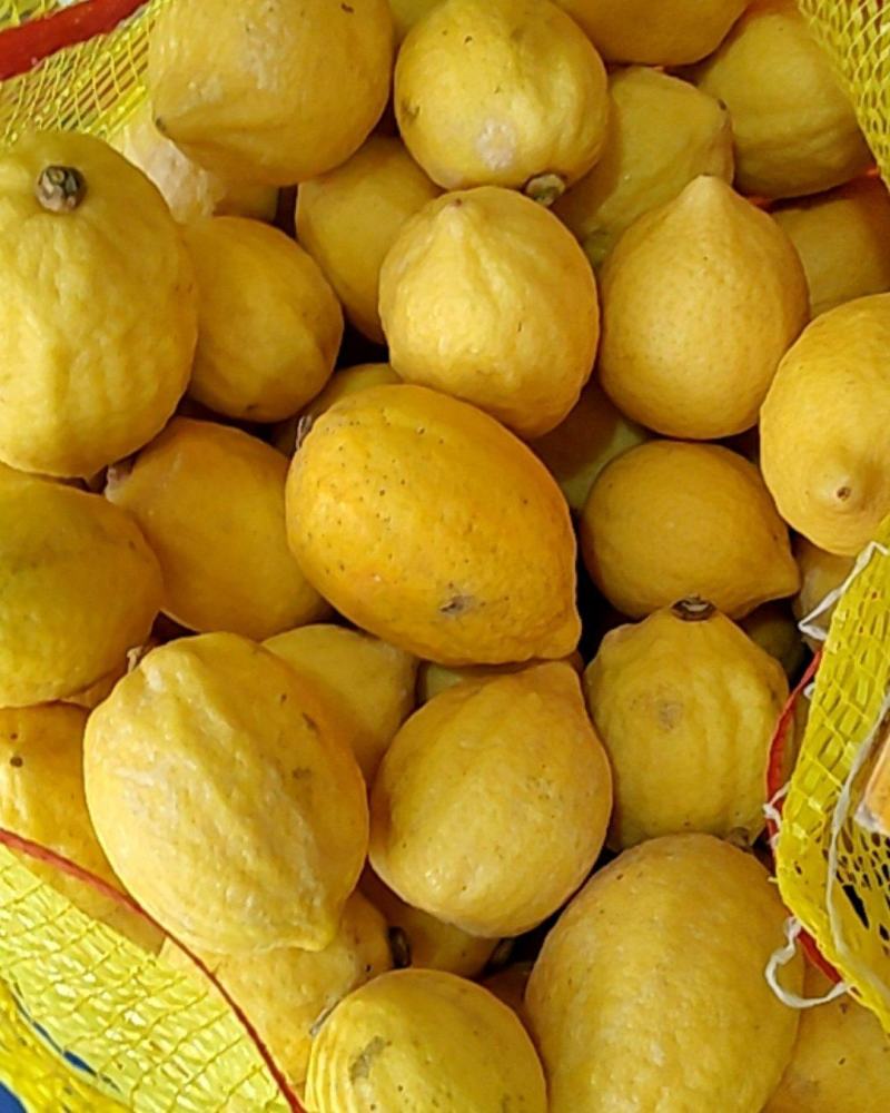 生鲜广东香水柠檬黄柠檬