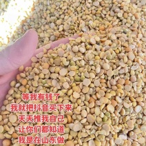 碎黄豆非转基因大豆保证无土沙，可上地施肥，水产养殖