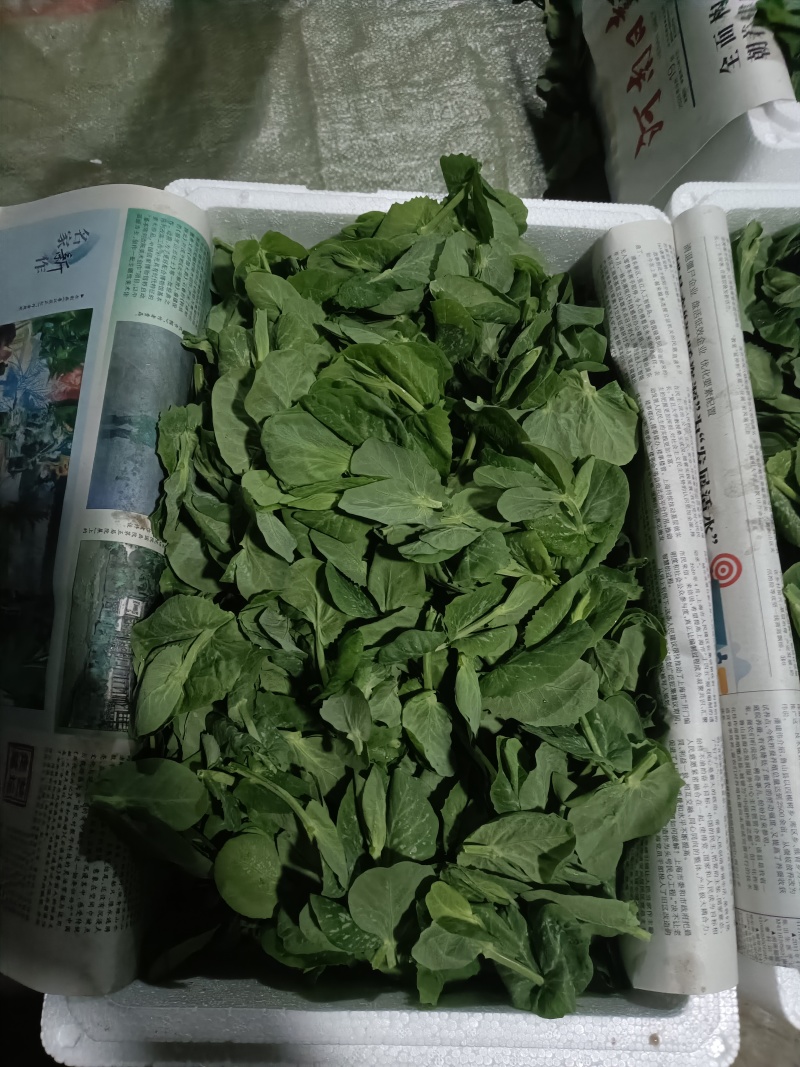 豌豆尖，豆杯
