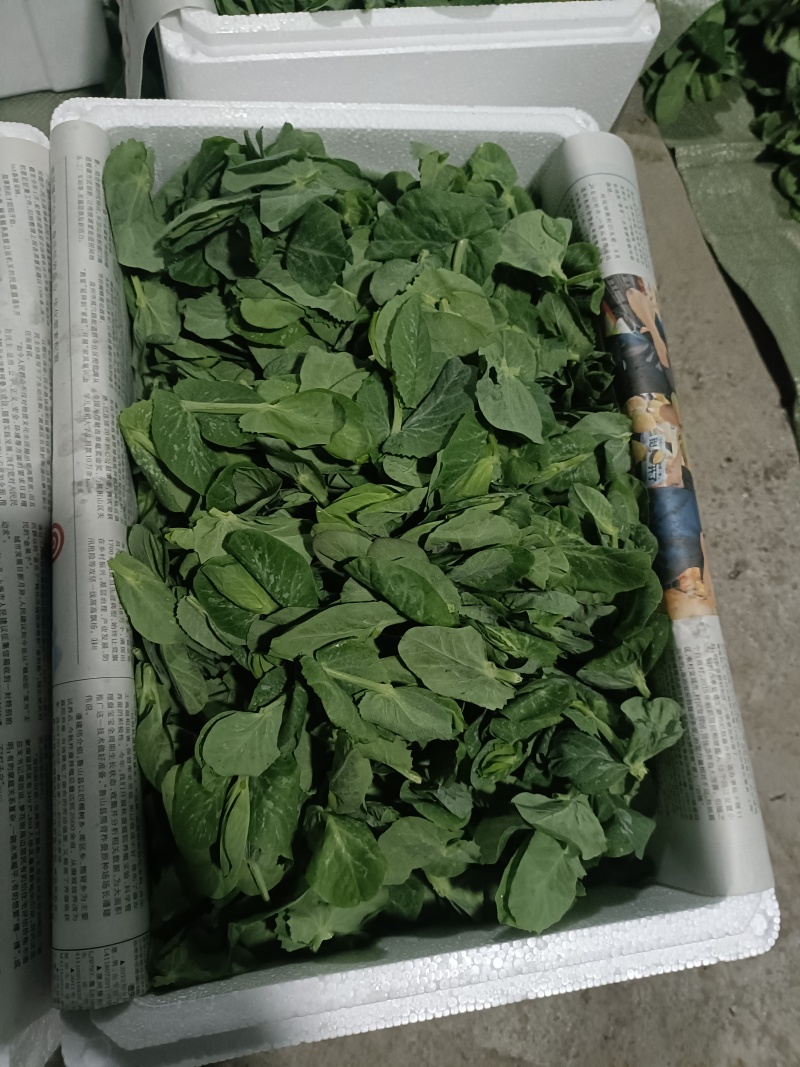 豌豆尖，豆杯