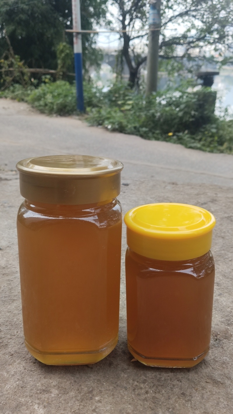 野生土蜂蜜