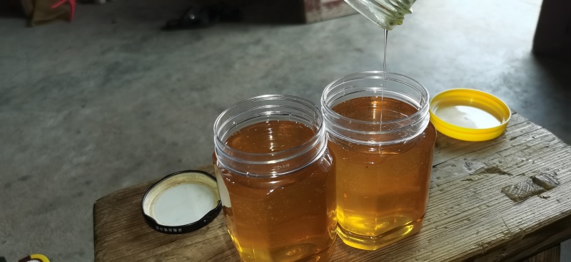 福建三明深山百花野生蜂蜜🍯