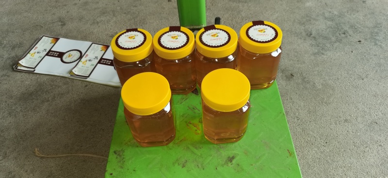 福建三明深山百花野生蜂蜜🍯