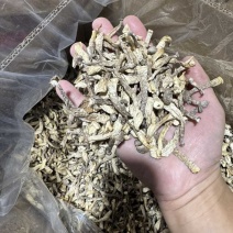 嫩仔鹿茸菇干货小嫩芽鹿茸菌