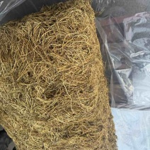 龙胆草