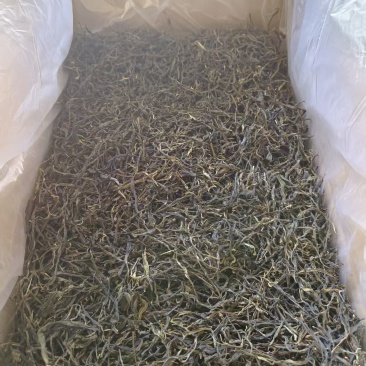 昔归普洱茶古树春茶夏茶产地直发散茶龙珠压饼