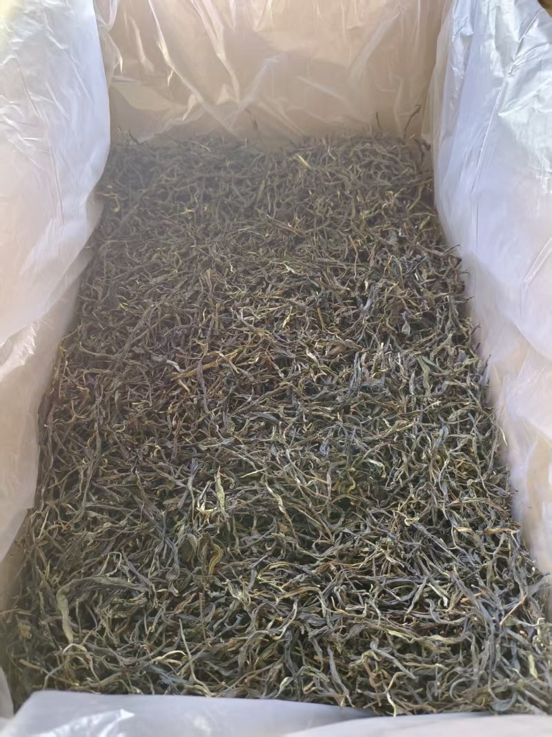 昔归普洱茶古树春茶夏茶产地直发散茶龙珠压饼