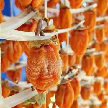 富平柿饼